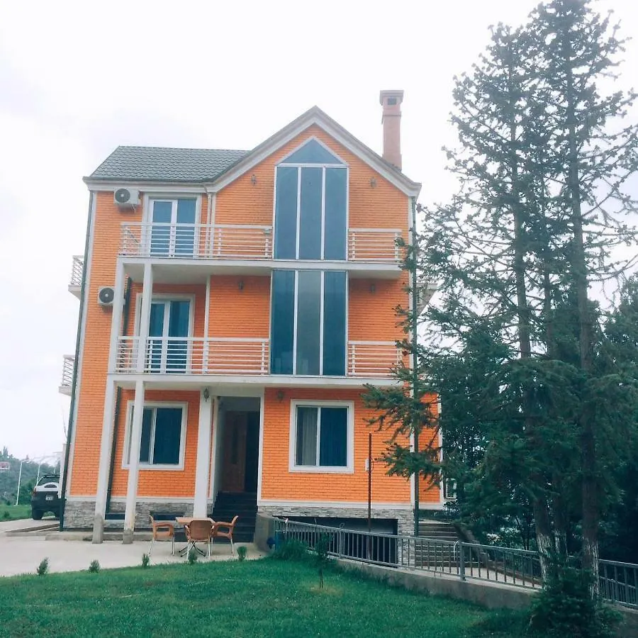 Private Villa Guest House 巴统 格鲁吉亚